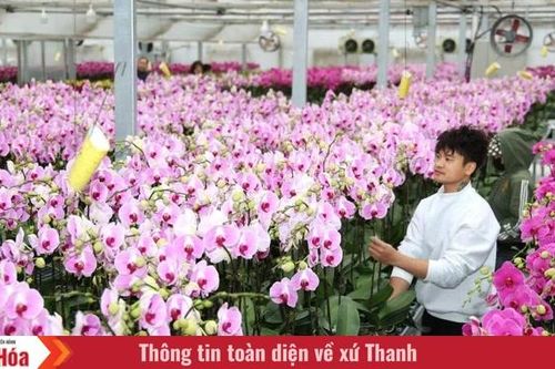 Ngắm vườn hoa lan công nghệ cao tại Trung tâm Thử nghiệm và Ươm tạo công nghệ