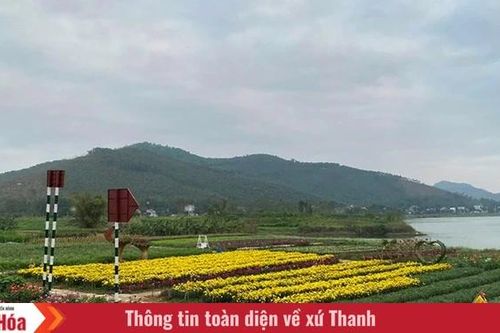 Theo nhịp bước thời gian: Chạp về