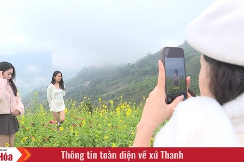 Làm giàu trên đỉnh Pha Đén