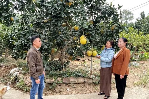Biến nghị quyết thành hành động cụ thể
