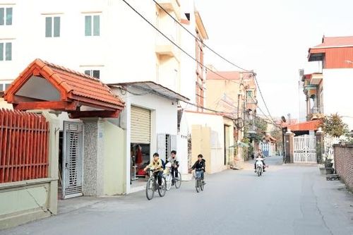 Rừng tre 'hóa' và ký ức làng quê