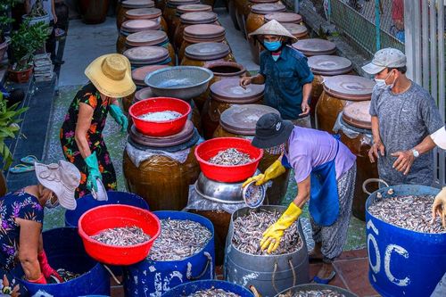 Con đường mắm, qua xứ Quảng