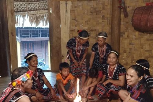 Mùa tặng củi của người Cơ Tu