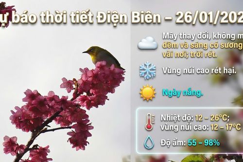 Bản tin Dự báo thời tiết ngày 26/1/2026