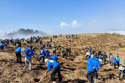 Phát động phong trào trồng cà phê tại xã Tìa Dình