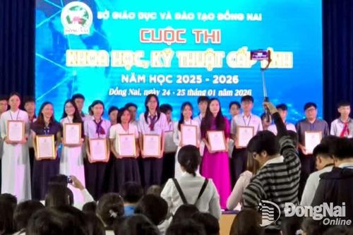 12 dự án đoạt giải nhất Cuộc thi Khoa học, kỹ thuật cấp tỉnh