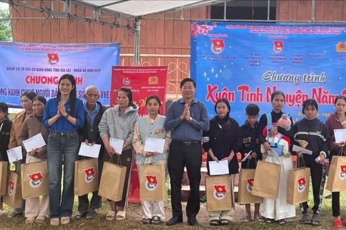 Nhiều hoạt động ý nghĩa trong chương trình 'Xuân Tình nguyện' tại xã Bình Hiệp
