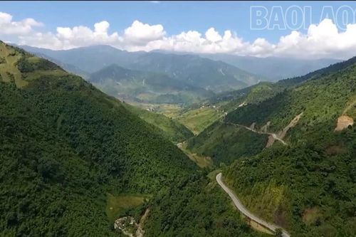 Học Bác để giữ màu xanh đại ngàn