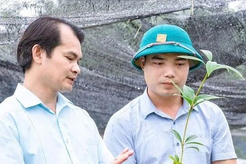 Sẵn sàng nguồn cây giống cho mùa trồng rừng mới
