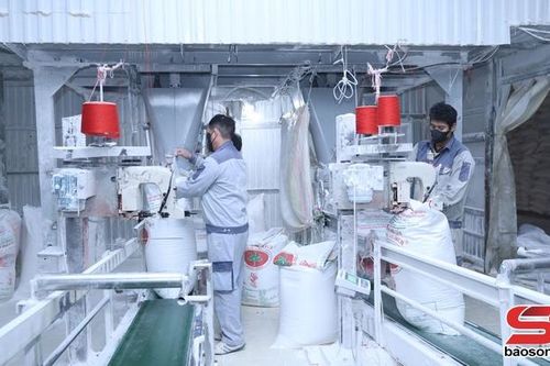 Hối hả vụ sản xuất ở Nhà máy chế biến tinh bột sắn Sơn La