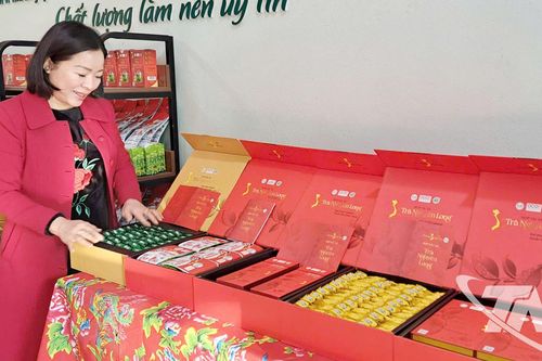 Tăng cường hỗ trợ hoạt động khuyến công