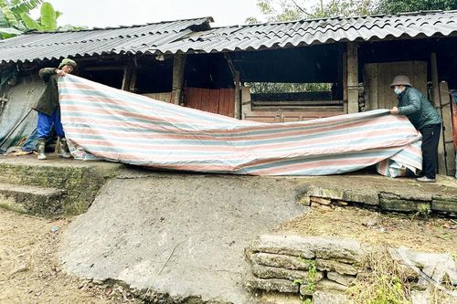 Bảo vệ đàn vật nuôi trong giá rét
