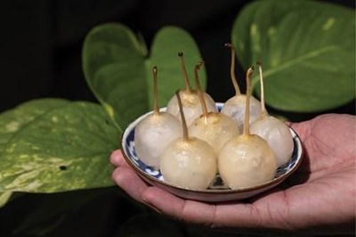 Tinh tế mứt cà pháo