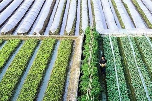 Chuẩn mới, tư duy mới trong xây dựng nông thôn