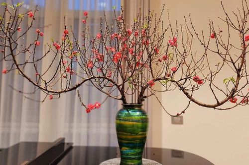 Bình hoa dáng chuông: Hòa quyện nghệ thuật và phong thủy cho mùa Tết