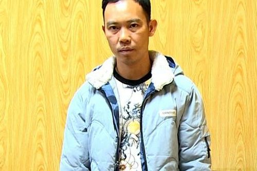 Liên tiếp bắt giữ các vụ vận chuyển động vật quý hiếm