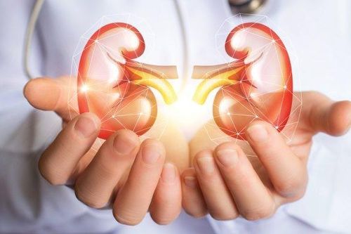 8 cách phòng ngừa bệnh thận mạn tính