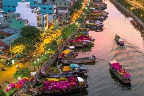 Lên lịch vi vu Chợ hoa Xuân Trên bến dưới thuyền 2026 với các hoạt động hấp dẫn