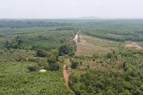 Doanh nghiệp nào vừa được Đồng Nai chấp thuận xây 13km đường trên cao xuyên rừng Mã Đà?