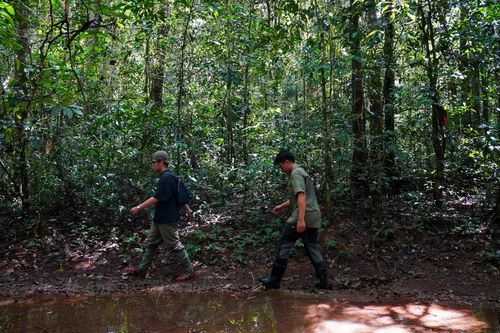 Đồng Nai sắp làm 13 km đường trên cao xuyên rừng Mã Đà