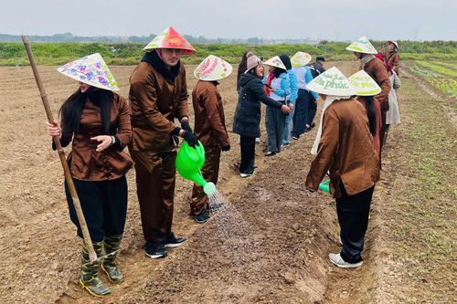 Khách Tây trồng rau giữa trời 10 độ C ở Hà Nội