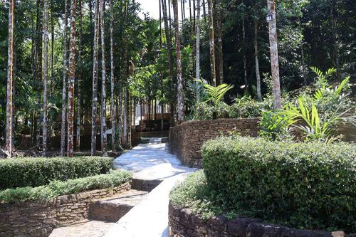 Về Thạnh Bình dạo làng cổ Lộc Yên, ngắm hang Dơi