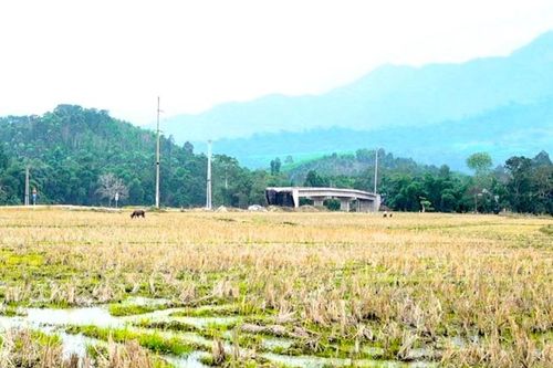 Cầu tiền tỉ xây xong 'đắp chiếu', người dân vẫn phải lội suối