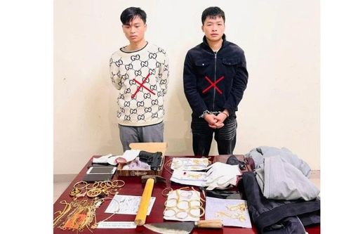 Công an tỉnh Ninh Bình truy bắt nhanh 2 đối tượng cướp tiệm vàng