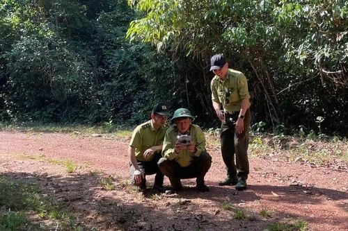 Đồng Nai xử lý nghiêm hành vi chống người thi hành công vụ