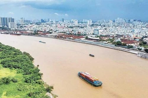 Đánh thức hệ sinh thái sông Sài Gòn
