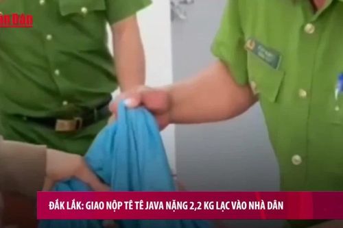 Đắk Lắk: Giao nộp tê tê Java nặng 2,2 kg lạc vào nhà dân