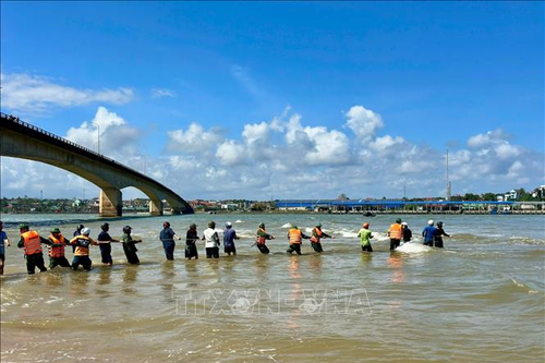 Hỗ trợ cứu kéo thuyền đánh cá bị chìm trên biển