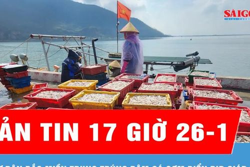 Bản tin 17 giờ 26-1: Ngư dân Bắc miền Trung trúng đậm cá cơm biển dịp giáp tết