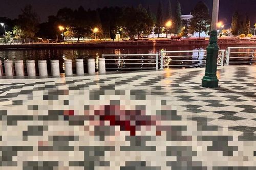 Ngồi chơi tại công viên, thanh niên bị người lạ đâm tử vong