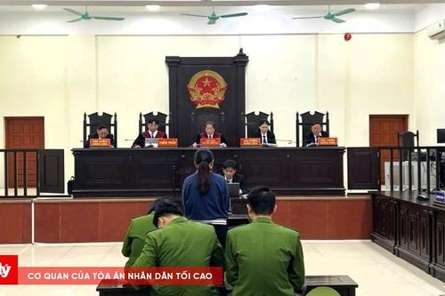 Lĩnh án 19 năm tù vì lừa đảo chiếm đoạt gần 13 tỷ đồng