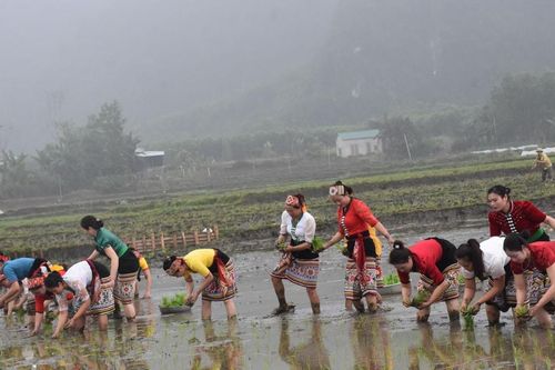 Độc đáo 'Ngày hội xuống đồng' ở xã Mường Chọng