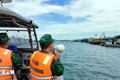Quảng Ninh: Biểu dương 2 cá nhân dũng cảm cứu người câu mực gặp nạn trên biển