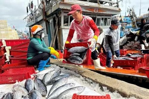 Hải sản 'tắc' đường sang Mỹ vì quy định mới