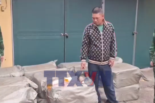 Bắt giữ 800kg nầm lợn nhập lậu trên biển Quảng Ninh