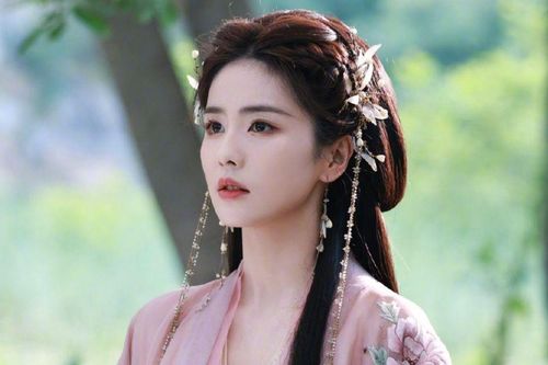 Bạch Lộc dừng đóng phim hành động