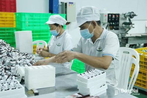 Động lực cải thiện môi trường kinh doanh 2026