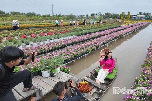 Làng hoa Sa Đéc thu hút khách tham quan