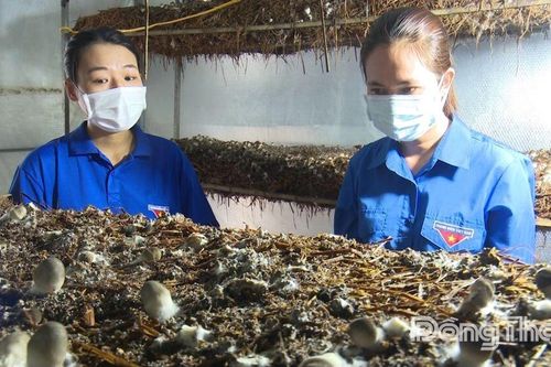 Phát huy hiệu quả các mô hình kinh tế