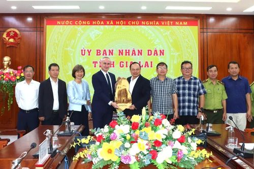 Phó Chủ tịch UBND tỉnh Dương Mah Tiệp làm việc với đại diện Ngân hàng Tái thiết Đức
