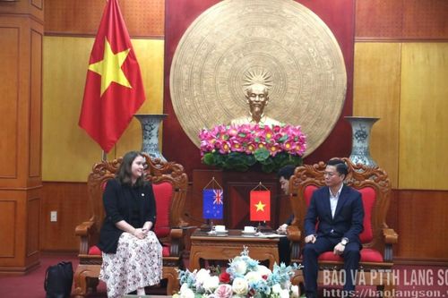 Tiếp xã giao Đoàn công tác của Đại sứ quán New Zealand và Tổ chức World Vision International tại Việt Nam