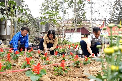Xã Lâm Giang triển khai phong trào 'Trồng hoa đón Tết, gắn kết lòng dân'