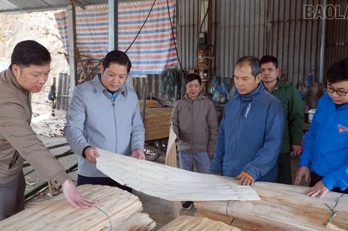 Đảng viên tiên phong dẫn đường làm kinh tế ở Phúc Lợi