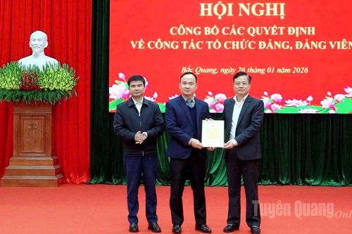 Tỉnh ủy Tuyên Quang công bố các quyết định về công tác tổ chức Đảng, đảng viên