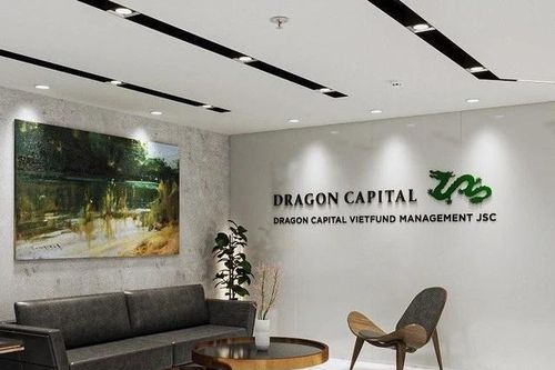 Doanh thu tăng nhưng lợi nhuận Dragon Capital Việt Nam 'lao dốc' hơn 50%