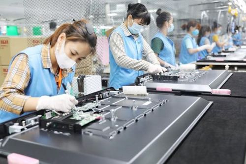 Thấp thỏm chờ thưởng Tết